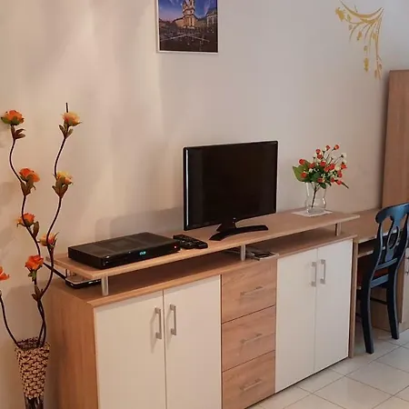 Aviator Apartman 아파트
